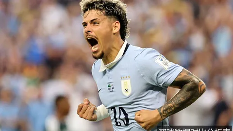 2026赛季收官战解析_国安亚冠二级联赛决战在即